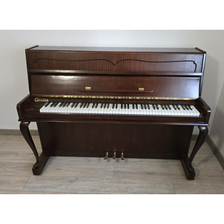 Pianino Calisia Model M-105 Menuet